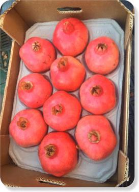 Public product photo - Pomegranate from ANTALYA FİRST CLASS